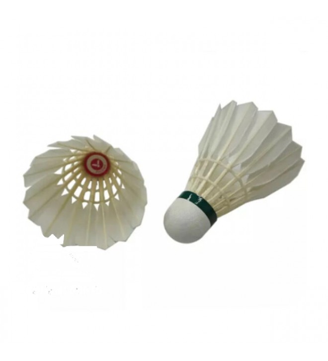 SHUTTLECOCK